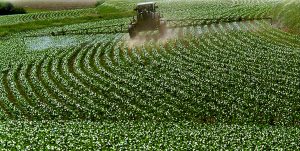 <span class="entry-title-primary">Crop Protection Market Size, Industry Growth Analysis 2024</span> <span class="entry-subtitle">Crop Protection Market Grow CAGR of more than 5.10% by 2024.</span>