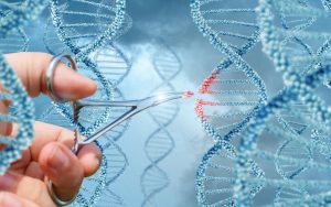 <span class="entry-title-primary">Oligonucleotides Market Size to reach US$ 1489.5 Million with 10.5% CAGR by 2024 Globally</span> <span class="entry-subtitle">Global Oligonucleotides Market Report</span>