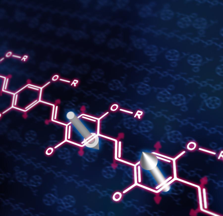 Global Organic Spintronics Market: key Vendors, Trends, Analysis 2025<span class="rating-result after_title mr-filter rating-result-20790">			<span class="no-rating-results-text">No ratings yet.</span>		</span>