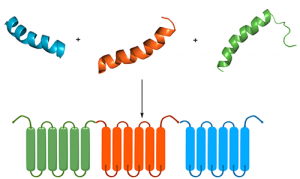 <span class="entry-title-primary">Peptide Synthesis Market Research Industry Analysis, Growth, Size, Share, Trends, Forecast to 2025</span> <span class="entry-subtitle">Global Peptide Synthesis Market Research</span>