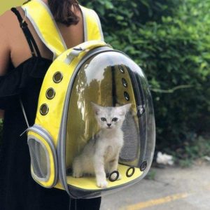 Global Pet Bubble Backpack Market Industry Research Report, Growth 2024