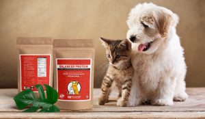 <span class="entry-title-primary">Pet Supplements Market Analysis, Size, Share, Product Types and Business Forecast by 2024</span> <span class="entry-subtitle">Global Pet Supplements Market Report, 2019-2024</span>