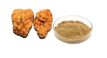 Placenta Extract Market | Global Industry Analysis, Segments, Top Key Players, Drivers and Trends to 2025