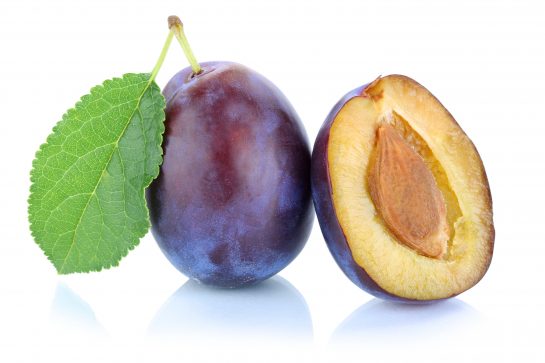 <span class="entry-title-primary">Plum Oil Market 2019 by Manufacturers, Countries, Type and Application, Forecast to 2024</span> <span class="entry-subtitle">Global Plum Oil Market</span><span class="rating-result after_title mr-filter rating-result-16121">	<span class="mr-star-rating">			    <i class="fa fa-star mr-star-full"></i>	    	    <i class="fa fa-star mr-star-full"></i>	    	    <i class="fa fa-star mr-star-full"></i>	    	    <i class="fa fa-star mr-star-full"></i>	    	    <i class="fa fa-star mr-star-full"></i>	    </span><span class="star-result">	5/5</span>			<span class="count">				(1)			</span>			</span>