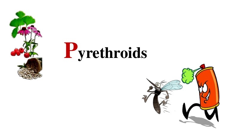 Pyrethroid Market Size and Share, 2019 | Industry Report by Planet Market Reports<span class="rating-result after_title mr-filter rating-result-16655">			<span class="no-rating-results-text">No ratings yet.</span>		</span>