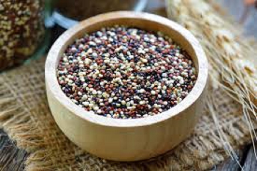 <span class="entry-title-primary">Quinoa Seed Market Size, Analysis, Benefits, Demands and Forecast Report by 2025</span> <span class="entry-subtitle">Quinoa Seed Market Size and Share with Forecast by 2025.</span><span class="rating-result after_title mr-filter rating-result-20494">			<span class="no-rating-results-text">No ratings yet.</span>		</span>