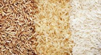 Rice Seed Market Size, Analysis, Benefits, Demands and Forecast Report by 2025
