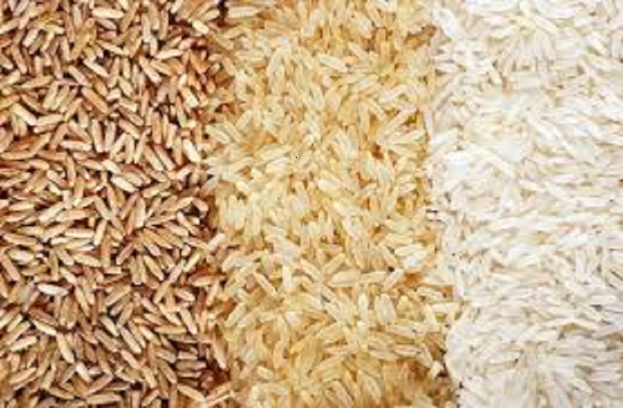 <span class="entry-title-primary">Rice Seed Market Size, Analysis, Benefits, Demands and Forecast Report by 2025</span> <span class="entry-subtitle">Rice Seed Market is projected to reach $7.52 billion by 2025.</span><span class="rating-result after_title mr-filter rating-result-20453">			<span class="no-rating-results-text">No ratings yet.</span>		</span>