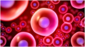 <span class="entry-title-primary">Stem Cells Market Size, Trends, Analysis, Demand, Outlook and Forecast to 2024</span> <span class="entry-subtitle">Stem Cells Market Research Reports:</span>