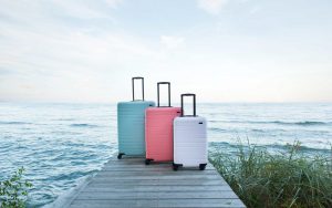 Suitcases Market Value Forecast Worldwide 2019-2024 | Statistic