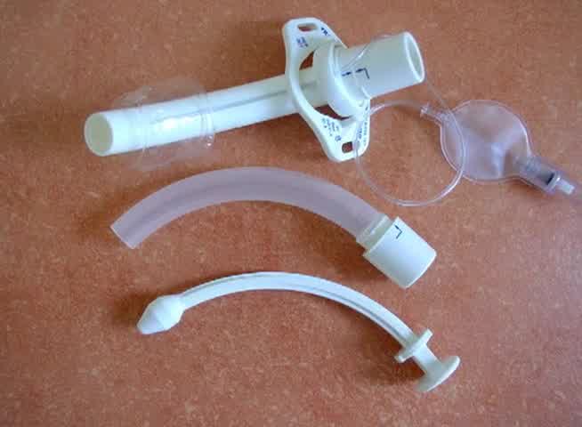 <span class="entry-title-primary">Global Tracheostomy Market Size, Industry Growth Analysis And Forecast: 2025</span> <span class="entry-subtitle">Global Tracheostomy Market Research</span><span class="rating-result after_title mr-filter rating-result-17715">	<span class="mr-star-rating">			    <i class="fa fa-star mr-star-full"></i>	    	    <i class="fa fa-star mr-star-full"></i>	    	    <i class="fa fa-star mr-star-full"></i>	    	    <i class="fa fa-star mr-star-full"></i>	    	    <i class="fa fa-star mr-star-full"></i>	    </span><span class="star-result">	5/5</span>			<span class="count">				(1)			</span>			</span>