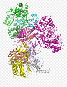 <span class="entry-title-primary">Global Ubiquinone Market Research Report 2019-2025 | Latest Trend, Growth And Forecast</span> <span class="entry-subtitle">Global Ubiquinone Market Research</span>