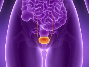 <span class="entry-title-primary">Urinary Tract Cancer Market Analysis By Key Manufacturers, Regions, Type And Application And Growth Forecast To 2024</span> <span class="entry-subtitle">Urinary Tract Cancer Industry Forecast, 2024</span>