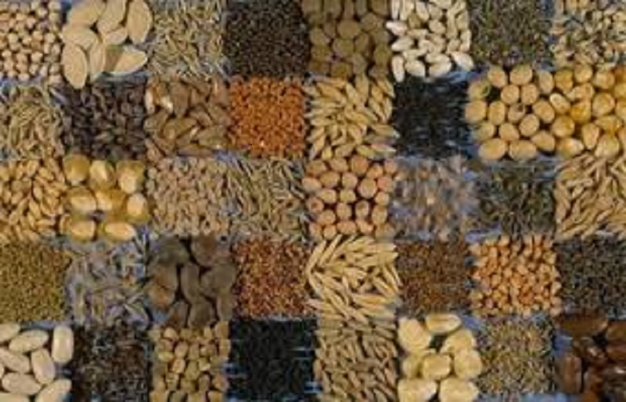 <span class="entry-title-primary">Vegetable Seed Market Size, Analysis, Benefits, Demands and Forecast Report by 2025</span> <span class="entry-subtitle">Vegetable Seed Market is projected to reach $13.89 billion by 2025.</span><span class="rating-result after_title mr-filter rating-result-19716">			<span class="no-rating-results-text">No ratings yet.</span>		</span>