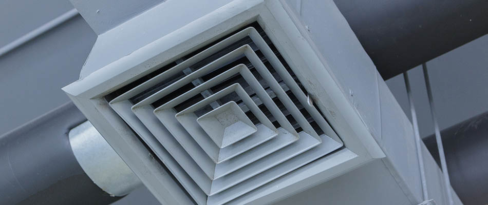 <span class="entry-title-primary">Ventilation System Market Research Report, 2019-2024</span> <span class="entry-subtitle">Global Ventilation System Market Report</span><span class="rating-result after_title mr-filter rating-result-16523">			<span class="no-rating-results-text">No ratings yet.</span>		</span>