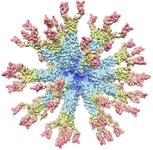 <span class="entry-title-primary">Virus Like Particles Market 2019 Global Share, Trend, Segmentation and Forecast to 2025</span> <span class="entry-subtitle">Global Virus Like Particles Market Research</span><span class="rating-result after_title mr-filter rating-result-17371">	<span class="mr-star-rating">			    <i class="fa fa-star mr-star-full"></i>	    	    <i class="fa fa-star mr-star-full"></i>	    	    <i class="fa fa-star mr-star-full"></i>	    	    <i class="fa fa-star mr-star-full"></i>	    	    <i class="fa fa-star mr-star-full"></i>	    </span><span class="star-result">	5/5</span>			<span class="count">				(1)			</span>			</span>