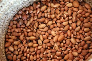 Argan Oil Market Gross Margin and Fast Forward Research 2023