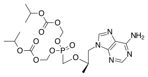 Global Emtricitabine/Rilpivirine/Tenofovir Alafenamide market forecast to 2024 made available by top research firm