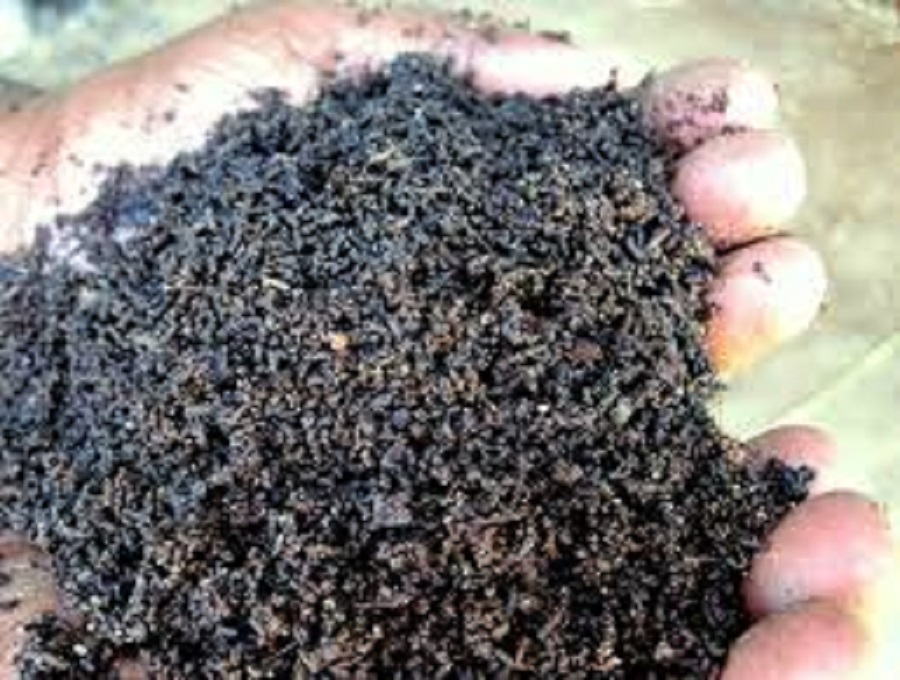 <span class="entry-title-primary">Global Organic Manure Market Research analysis and Forecast – 2024</span> <span class="entry-subtitle">The global market size of Organic Manure is expected to reach $XX million by the end of 2024 with a CAGR of XX% from 2019 to 2024.</span><span class="rating-result after_title mr-filter rating-result-17657">			<span class="no-rating-results-text">No ratings yet.</span>		</span>