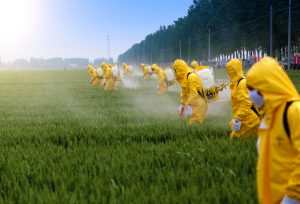 <span class="entry-title-primary">Pesticide Market Size, Share, Growth, Trend and Forecast-2024</span> <span class="entry-subtitle">The  Global pesticide inert ingredients market is projected to reach $4.59 billion by 2024, from $3.71 billion in 2018, at a CAGR of 6.25%.</span>