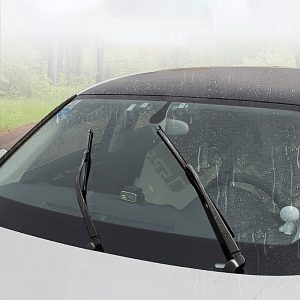 Global Windscreen Wipers Market Study 2015-2025, by Segment (Boneless Wipers, Bone Wipers), by Market (Vehicles Front Window, Vehicles Rear Window), by Company (Bosch, Valeo, Denso)