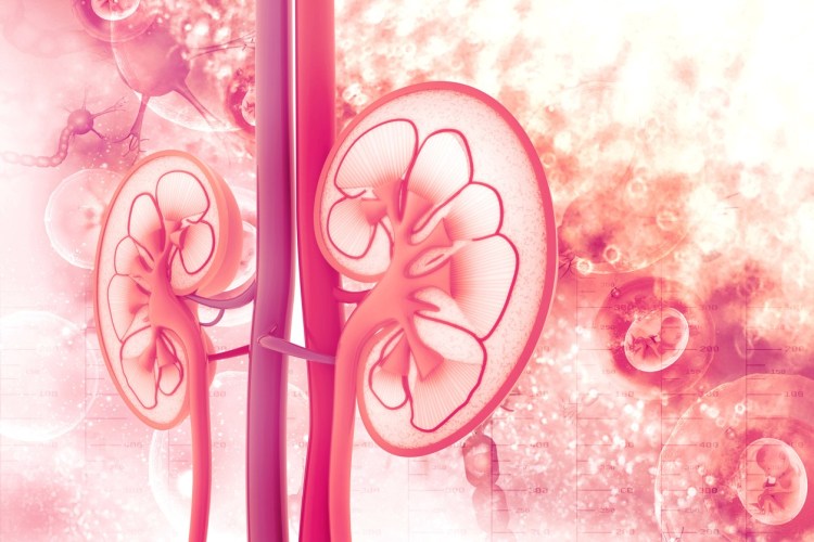 <span class="entry-title-primary">Acute Kidney Injury Treatment  Market Growth with Industry Study, Detailed Analysis and Forecast to 2025</span> <span class="entry-subtitle">Global Acute Kidney Injury Treatment Market Growth</span><span class="rating-result after_title mr-filter rating-result-25132">	<span class="mr-star-rating">			    <i class="fa fa-star mr-star-full"></i>	    	    <i class="fa fa-star mr-star-full"></i>	    	    <i class="fa fa-star mr-star-full"></i>	    	    <i class="fa fa-star mr-star-full"></i>	    	    <i class="fa fa-star mr-star-full"></i>	    </span><span class="star-result">	5/5</span>			<span class="count">				(1)			</span>			</span>