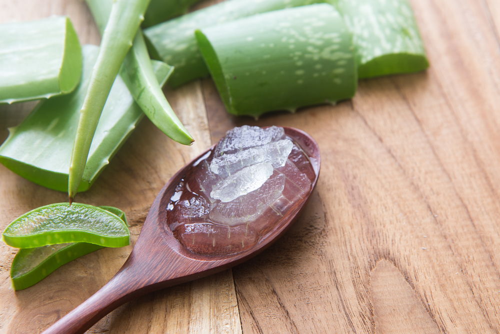 Aloe Gel Extracts market forecast to 2024 available in new report<span class="rating-result after_title mr-filter rating-result-21767">			<span class="no-rating-results-text">No ratings yet.</span>		</span>