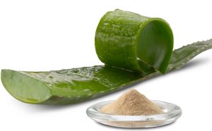 Aloe Vera Extract Powder Market Size, Growth, Trends and Forecast 2019-2024