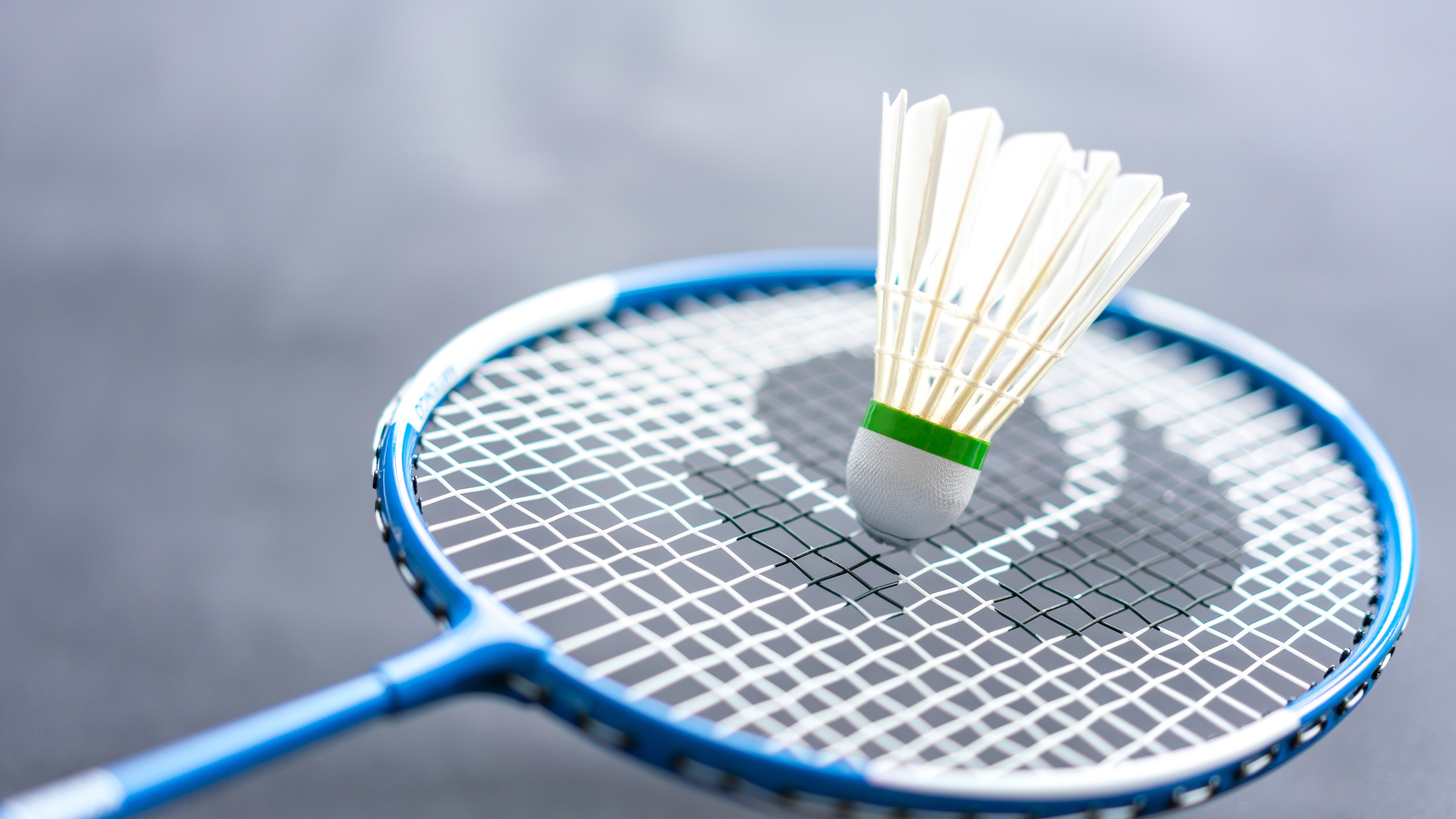 Badminton Racket Market: Global Industry Insights by Global Players, Regional Segmentation, Growth, Applications, Major Drivers<span class="rating-result after_title mr-filter rating-result-25101">			<span class="no-rating-results-text">No ratings yet.</span>		</span>