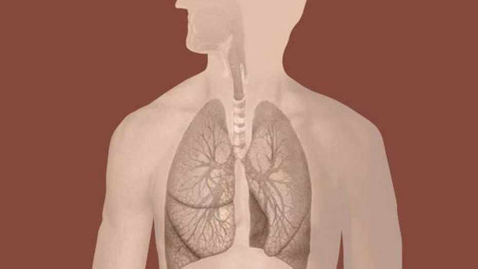 <span class="entry-title-primary">Global Bronchitis Market Size, Share | Industry Report, 2019-2028</span> <span class="entry-subtitle">Global Bronchitis Market Report Summary</span><span class="rating-result after_title mr-filter rating-result-21649">	<span class="mr-star-rating">			    <i class="fa fa-star mr-star-full"></i>	    	    <i class="fa fa-star mr-star-full"></i>	    	    <i class="fa fa-star mr-star-full"></i>	    	    <i class="fa fa-star mr-star-full"></i>	    	    <i class="fa fa-star mr-star-full"></i>	    </span><span class="star-result">	5/5</span>			<span class="count">				(1)			</span>			</span>