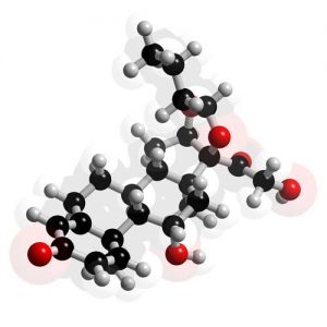 <span class="entry-title-primary">Budesonide Market – Industry Analysis, Size and Forecast 2019 – 2025, Share, Growth, Trends</span> <span class="entry-subtitle">Global Budesonide Market Overview:</span>