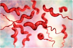 <span class="entry-title-primary">Global Campylobacteriosis Market Size And Share: Industry Forecast To 2028</span> <span class="entry-subtitle">Global Campylobacteriosis Market Report Summary</span>