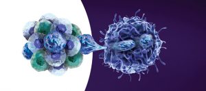 <span class="entry-title-primary">Cancer Stem Cells (CSCs) Market Segmented by Product,Geography Trends And Forecasts to 2025</span> <span class="entry-subtitle">Global Cancer Stem Cells CSCs Market Overview:</span>