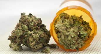 Cannabis Packaging Market Research Report Analysis, Size, Share, Development, Trends and Forecast Forecasts to 2020-2025