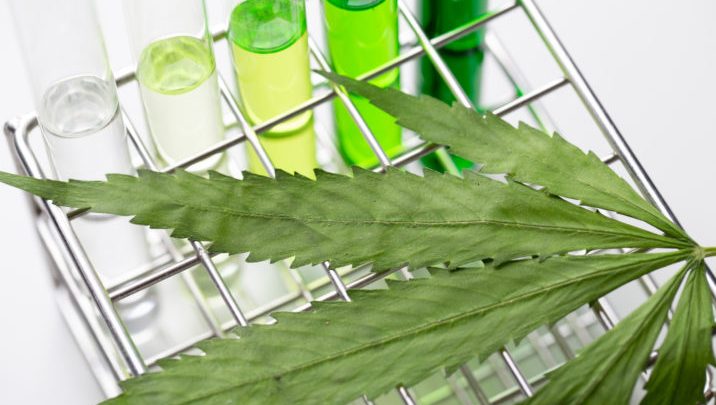 <span class="entry-title-primary">Cannabis Testing Market share, size, regions, revenue, types and forecast 2019-2025</span> <span class="entry-subtitle">Global Cannabis Testing Market Overview:</span><span class="rating-result after_title mr-filter rating-result-26257">	<span class="mr-star-rating">			    <i class="fa fa-star mr-star-full"></i>	    	    <i class="fa fa-star mr-star-full"></i>	    	    <i class="fa fa-star mr-star-full"></i>	    	    <i class="fa fa-star mr-star-full"></i>	    	    <i class="fa fa-star mr-star-full"></i>	    </span><span class="star-result">	5/5</span>			<span class="count">				(1)			</span>			</span>