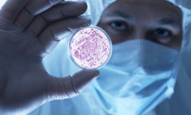 <span class="entry-title-primary">Carbapenem-resistant Enterobacteriaceae Market 2019 Global Trend And Opportunities Forecast To 2028</span> <span class="entry-subtitle">Global Carbapenem-resistant Enterobacteriaceae Market</span><span class="rating-result after_title mr-filter rating-result-21567">	<span class="mr-star-rating">			    <i class="fa fa-star mr-star-full"></i>	    	    <i class="fa fa-star mr-star-full"></i>	    	    <i class="fa fa-star mr-star-full"></i>	    	    <i class="fa fa-star mr-star-full"></i>	    	    <i class="fa fa-star mr-star-full"></i>	    </span><span class="star-result">	5/5</span>			<span class="count">				(1)			</span>			</span>