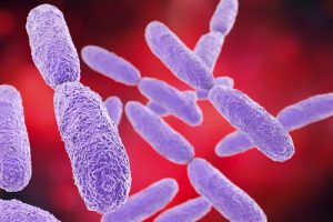 <span class="entry-title-primary">Carbapenem resistant Klebsiella pneumonia Market – Analysis and future growth opportunities by 2019-2028</span> <span class="entry-subtitle">Global Carbapenem resistant Klebsiella pneumonia Market</span>