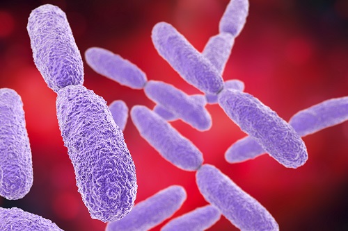 <span class="entry-title-primary">Carbapenem resistant Klebsiella pneumonia Market – Analysis and future growth opportunities by 2019-2028</span> <span class="entry-subtitle">Global Carbapenem resistant Klebsiella pneumonia Market</span><span class="rating-result after_title mr-filter rating-result-21227">	<span class="mr-star-rating">			    <i class="fa fa-star mr-star-full"></i>	    	    <i class="fa fa-star mr-star-full"></i>	    	    <i class="fa fa-star mr-star-full"></i>	    	    <i class="fa fa-star mr-star-full"></i>	    	    <i class="fa fa-star mr-star-full"></i>	    </span><span class="star-result">	5/5</span>			<span class="count">				(1)			</span>			</span>