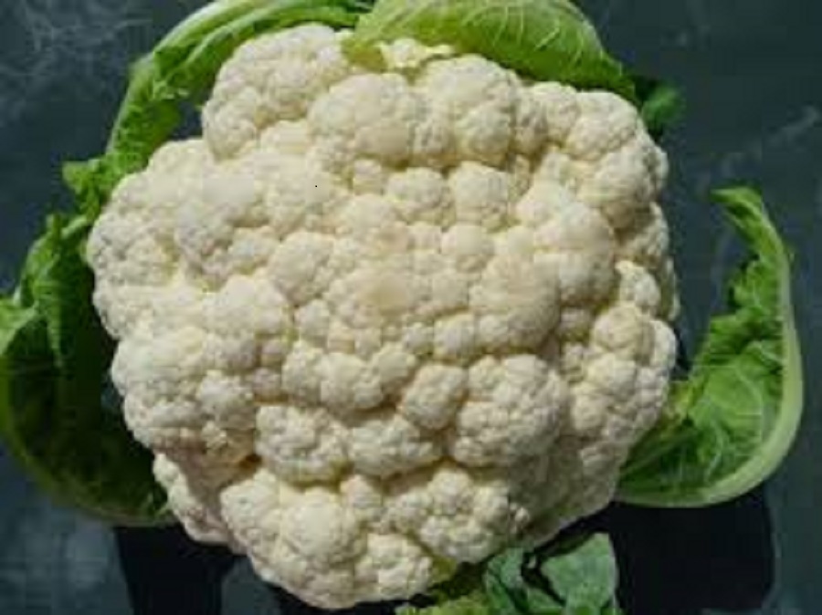 <span class="entry-title-primary">Cauliflower Seeds Market Size, Analysis, Benefits, Demands and Forecast Report by 2024</span> <span class="entry-subtitle"> Cauliflower Seeds Market share, size, regions,applications.</span><span class="rating-result after_title mr-filter rating-result-21927">			<span class="no-rating-results-text">No ratings yet.</span>		</span>