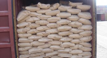 Caustic Soda Packaging Market Size, Industry Growth Analysis