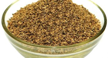Celery Seeds Market Size, Analysis, Benefits, Demands and Forecast Report by 2024
