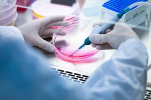 <span class="entry-title-primary">Cell Therapy and Tissue Engineering Market Share by Manufacturers, Trends and Distributor Analysis to 2025</span> <span class="entry-subtitle">Global Cell Therapy and Tissue Engineering Market Growth</span>