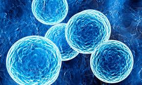 <span class="entry-title-primary">Chlamydia Market: Global, Trends, Industry Size, Growth, Opportunities, Forecast To 2028</span> <span class="entry-subtitle">Global Chlamydia Market Report Summary</span><span class="rating-result after_title mr-filter rating-result-21640">	<span class="mr-star-rating">			    <i class="fa fa-star mr-star-full"></i>	    	    <i class="fa fa-star mr-star-full"></i>	    	    <i class="fa fa-star mr-star-full"></i>	    	    <i class="fa fa-star mr-star-full"></i>	    	    <i class="fa fa-star mr-star-full"></i>	    </span><span class="star-result">	5/5</span>			<span class="count">				(1)			</span>			</span>