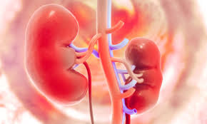 <span class="entry-title-primary">Chronic Kidney Disease Market Overview, Industry Top Manufactures, Size, Growth rate 2019 – 2028</span> <span class="entry-subtitle">Global Chronic Kidney Disease Market Report Summary</span><span class="rating-result after_title mr-filter rating-result-21400">	<span class="mr-star-rating">			    <i class="fa fa-star mr-star-full"></i>	    	    <i class="fa fa-star mr-star-full"></i>	    	    <i class="fa fa-star mr-star-full"></i>	    	    <i class="fa fa-star mr-star-full"></i>	    	    <i class="fa fa-star mr-star-full"></i>	    </span><span class="star-result">	5/5</span>			<span class="count">				(1)			</span>			</span>