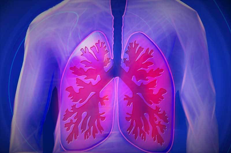 <span class="entry-title-primary">Chronic Obstructive Pulmonary Disease Market: Global Industry Analysis and Forecast by 2028</span> <span class="entry-subtitle">Global Chronic Obstructive Pulmonary Disease Market</span><span class="rating-result after_title mr-filter rating-result-21397">	<span class="mr-star-rating">			    <i class="fa fa-star mr-star-full"></i>	    	    <i class="fa fa-star mr-star-full"></i>	    	    <i class="fa fa-star mr-star-full"></i>	    	    <i class="fa fa-star mr-star-full"></i>	    	    <i class="fa fa-star mr-star-full"></i>	    </span><span class="star-result">	5/5</span>			<span class="count">				(1)			</span>			</span>