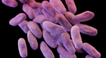 Colistin Market Analysis, Key Manufacturers, Sales and Demand