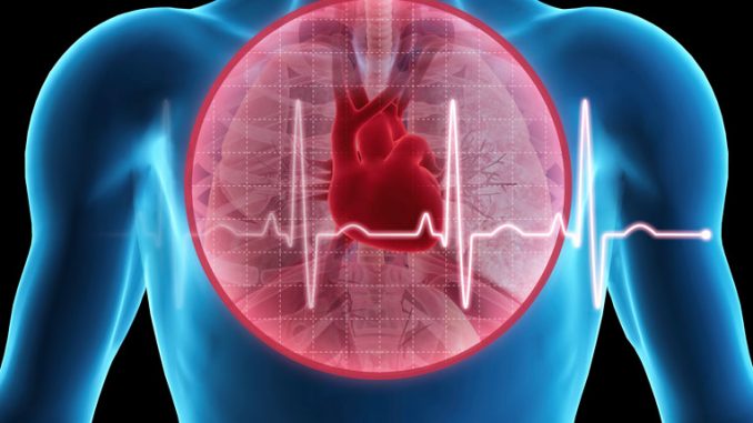 <span class="entry-title-primary">Coronary Artery Bypass Graft Procedures Market ,Trends Analysis Report By Graft Type</span> <span class="entry-subtitle">Coronary Artery Bypass Grafts CABG Market Industry Insights</span><span class="rating-result after_title mr-filter rating-result-26391">	<span class="mr-star-rating">			    <i class="fa fa-star mr-star-full"></i>	    	    <i class="fa fa-star mr-star-full"></i>	    	    <i class="fa fa-star mr-star-full"></i>	    	    <i class="fa fa-star mr-star-full"></i>	    	    <i class="fa fa-star mr-star-full"></i>	    </span><span class="star-result">	5/5</span>			<span class="count">				(1)			</span>			</span>