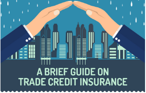 <span class="entry-title-primary">Credit Insurance Market Size, Analysis, Benefits, Demands and Forecast Report by 2025</span> <span class="entry-subtitle">Credit Insurance Market was valued at USD 6.12 billion in 2017 and is projected to reach USD 7.44 billion by 2025, growing at a CAGR of 2.5% from 2018 to 2025.</span>