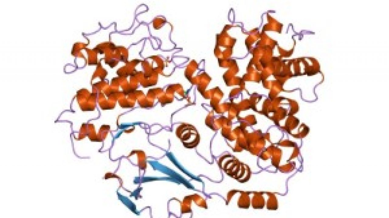 <span class="entry-title-primary">Cyclin Dependent Kinase 9 Market Research Report 2019-2025 | Latest Trend, Growth And Forecast</span> <span class="entry-subtitle">Global Cyclin Dependent Kinase 9 Market Overview:</span><span class="rating-result after_title mr-filter rating-result-26047">	<span class="mr-star-rating">			    <i class="fa fa-star mr-star-full"></i>	    	    <i class="fa fa-star mr-star-full"></i>	    	    <i class="fa fa-star mr-star-full"></i>	    	    <i class="fa fa-star mr-star-full"></i>	    	    <i class="fa fa-star mr-star-full"></i>	    </span><span class="star-result">	5/5</span>			<span class="count">				(1)			</span>			</span>