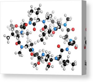 <span class="entry-title-primary">Global Cyclosporine  Market – Global Outlook And Forecasts Report 2019-2026</span> <span class="entry-subtitle">Global Cyclosporine Market Overview:</span>